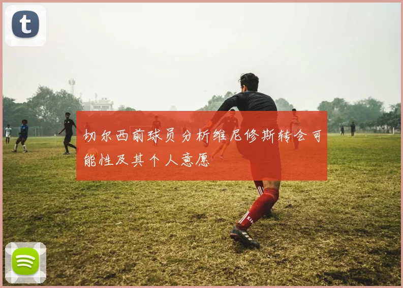 切尔西前球员分析维尼修斯转会可能性及其个人意愿